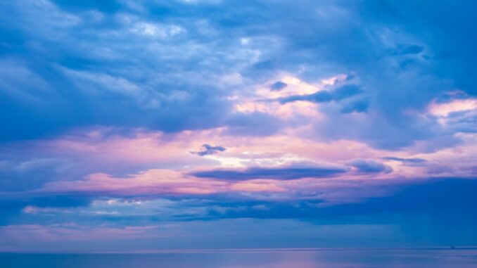 uploaded-image-edremit-ve-deniz-biyolojisi-1697200775560